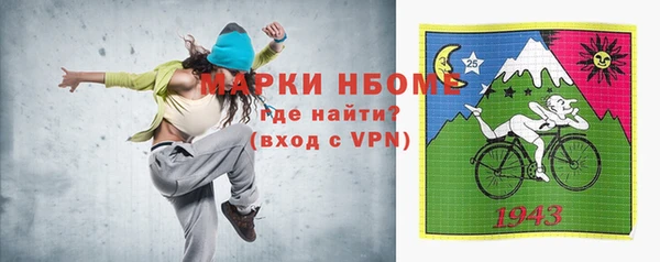прущие грибы Корсаков
