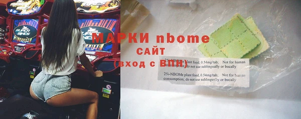 прущие грибы Корсаков