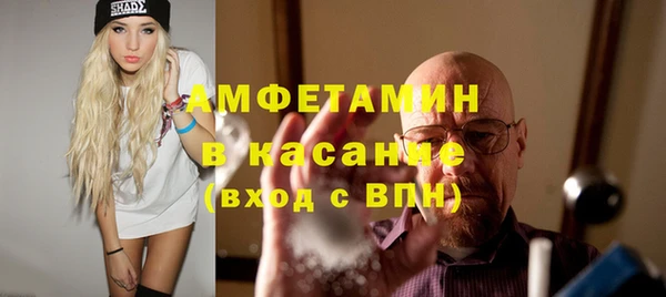 прущие грибы Корсаков