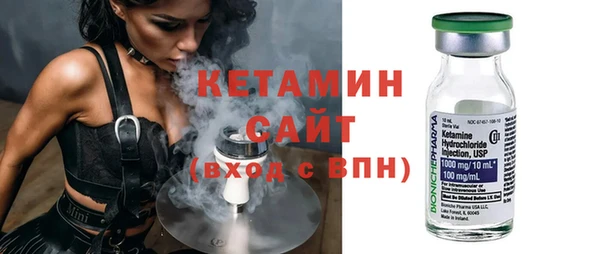 прущие грибы Корсаков