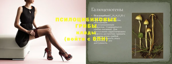 ПСИЛОЦИБИНОВЫЕ ГРИБЫ Костерёво