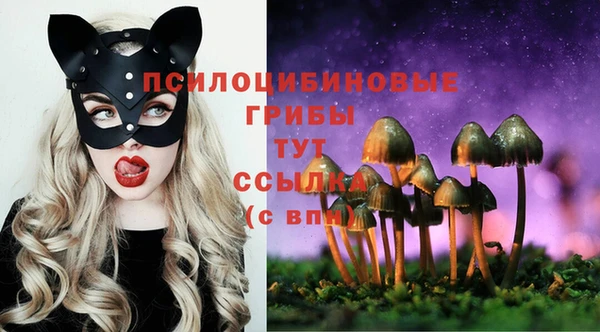 ПСИЛОЦИБИНОВЫЕ ГРИБЫ Костерёво