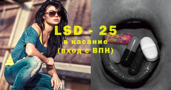 прущие грибы Корсаков