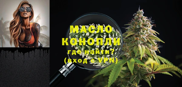 прущие грибы Корсаков