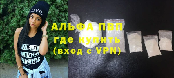 прущие грибы Корсаков