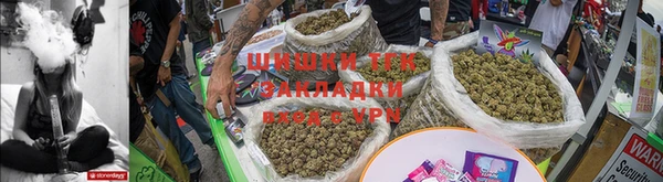 прущие грибы Корсаков
