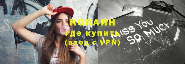 прущие грибы Краснослободск
