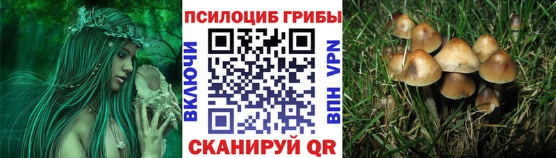Псилоцибиновые грибы ЛСД  цена   Ковдор 